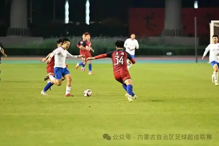 雨燕直播在线观看高清